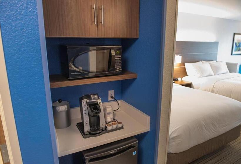 スイート, Holiday Inn Express & Suites   Orland Park Mokena, An Ihg
