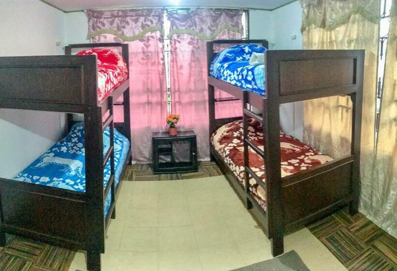 Bed in Shared Room with Shared Bathroom, Hostel Tierra De Fuego