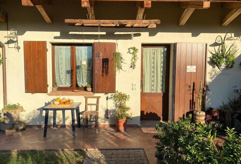 Апартаменты 1 Спальня Нижний Этаж, Ca' Dei Gelsi B & B