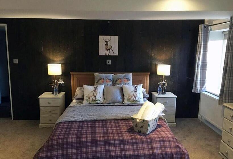 Номер Superior Кровать Кинг, Lodbourne House B&b