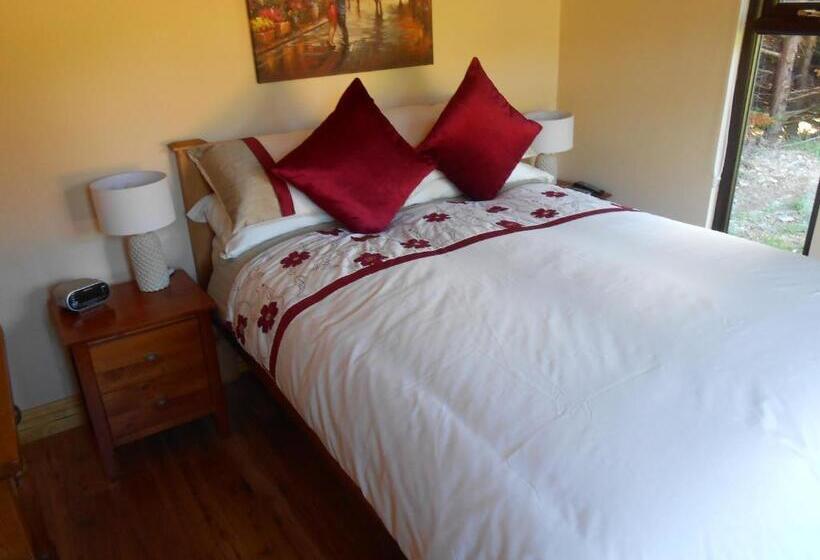 스탠다드 룸 가든 전망, Birchdale House B&b