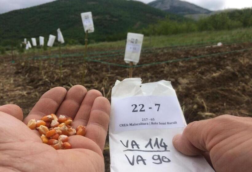 Номер Superior, Azienda Agricola Il Querceto