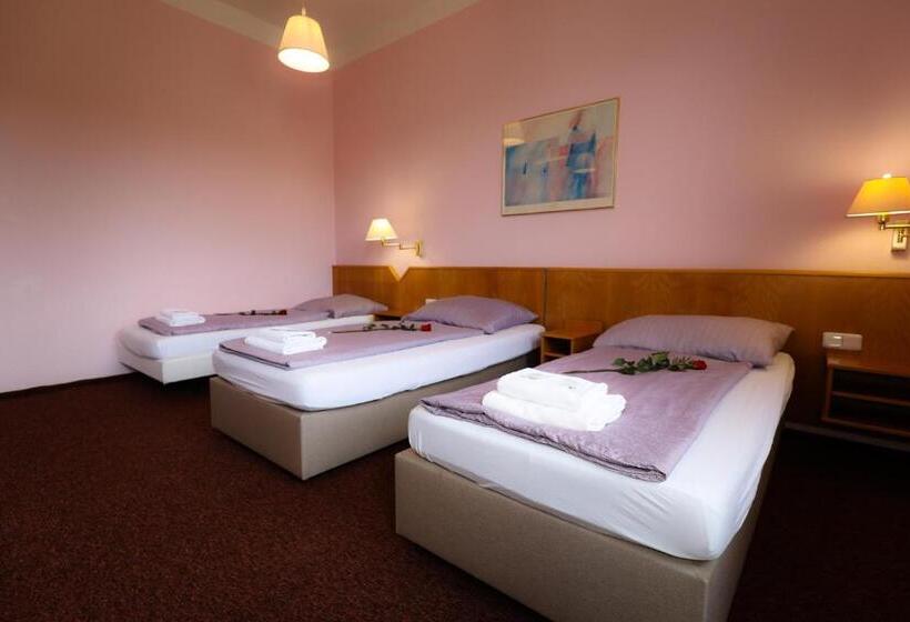 اتاق استاندارد سه نفره, Wellness Penzion Kroměříž   Zlobice