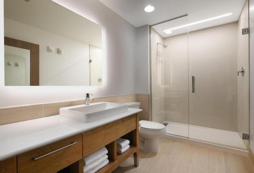 Люкс Executive Кровать Кинг, Element Austin Round Rock