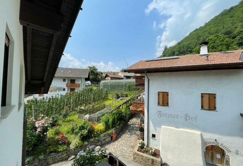 Номер Стандарт Индивидуальный, Garni Hotel Farmerhof