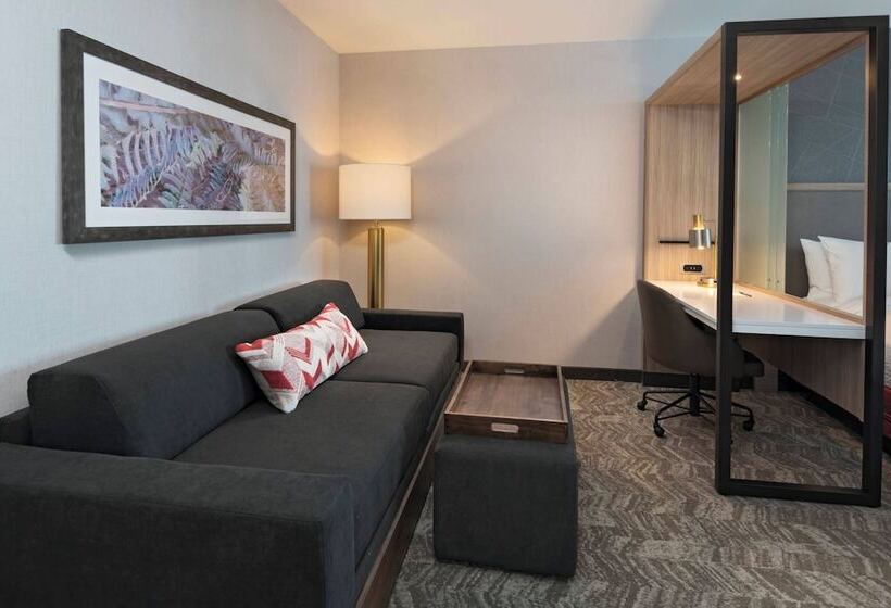 סוויטה, Springhill Suites By Marriott Denver West/golden