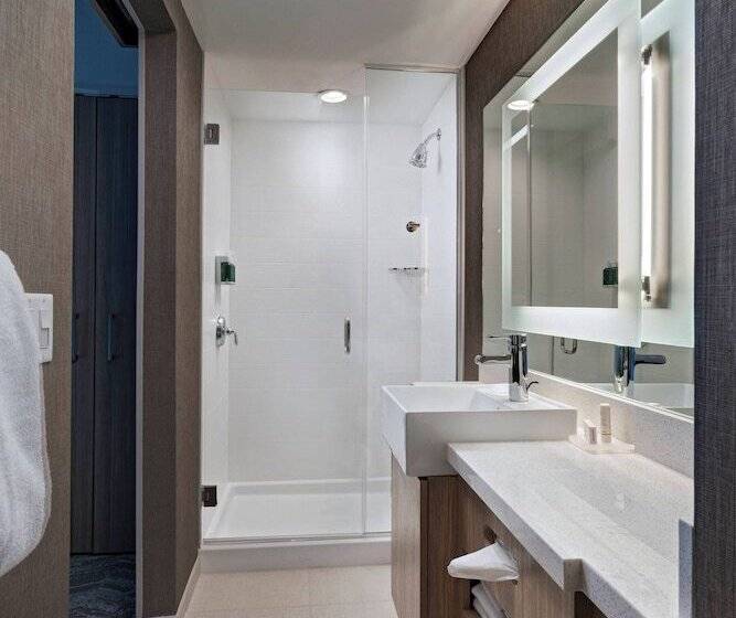 Люкс Адаптированный для Инвалидов, Springhill Suites By Marriott Denver West/golden