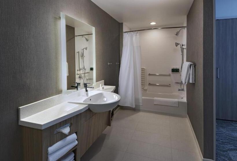Люкс, Springhill Suites By Marriott Denver West/golden