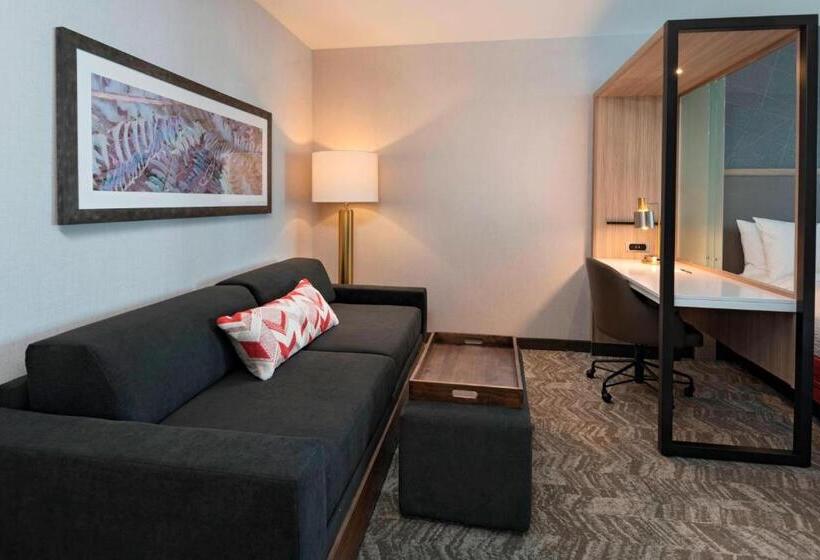 סוויטה עם מיטת קווין, Springhill Suites By Marriott Denver West/golden