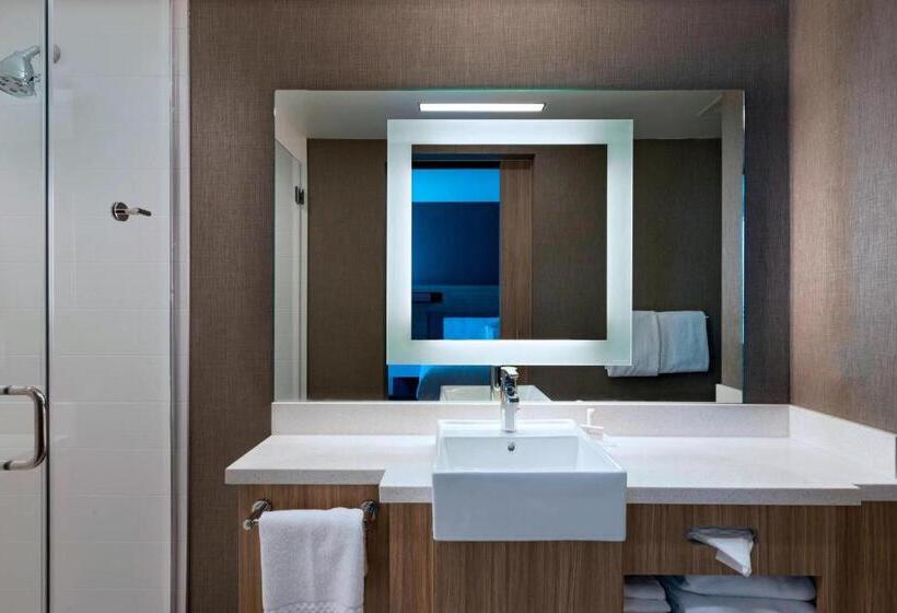Люкс Адаптированный для Инвалидов, Springhill Suites By Marriott Denver West/golden