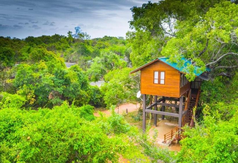 سوییت با چشم‌انداز کوه, Sigiriya King S Resort