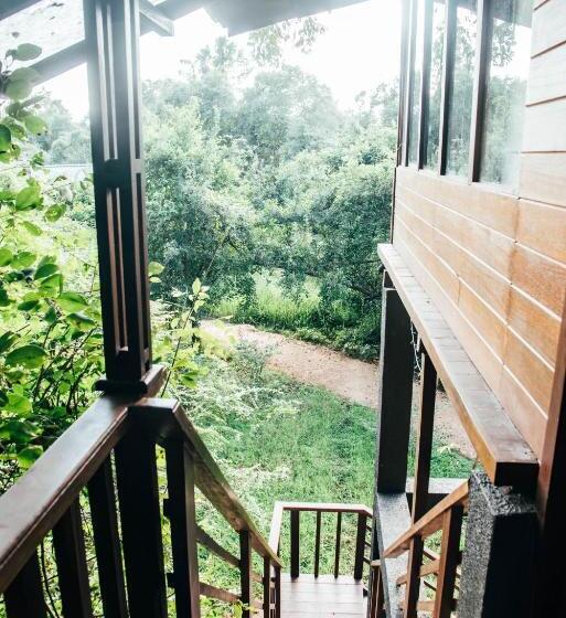 سوییت با چشم‌انداز کوه, Sigiriya King S Resort