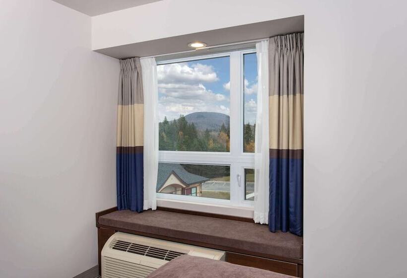 비즈니스룸, Microtel Inn & Suites By Wyndham Mont Tremblant