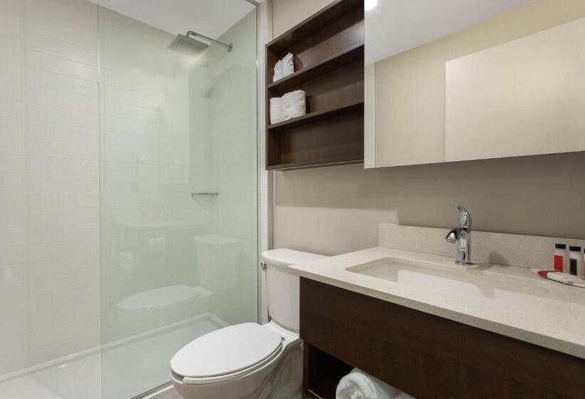 스탠다드 스튜디오, Microtel Inn & Suites By Wyndham Mont Tremblant