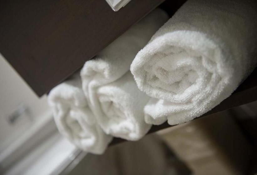 비즈니스룸, Microtel Inn & Suites By Wyndham Mont Tremblant