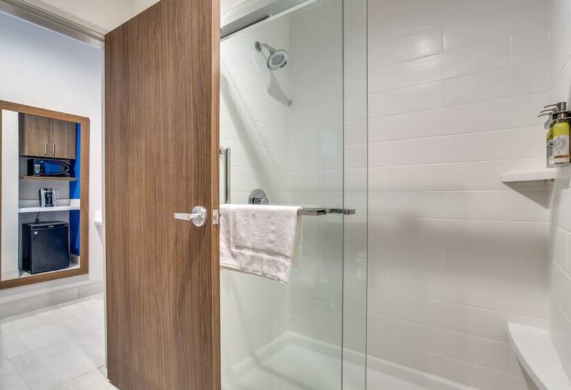 适合残疾人士使用的套间, Holiday Inn Express & Suites   Denton South, An Ihg