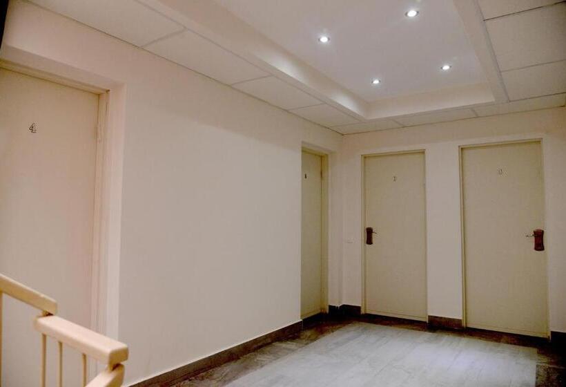 Studio Standard Lit King Size, David Hameleh House