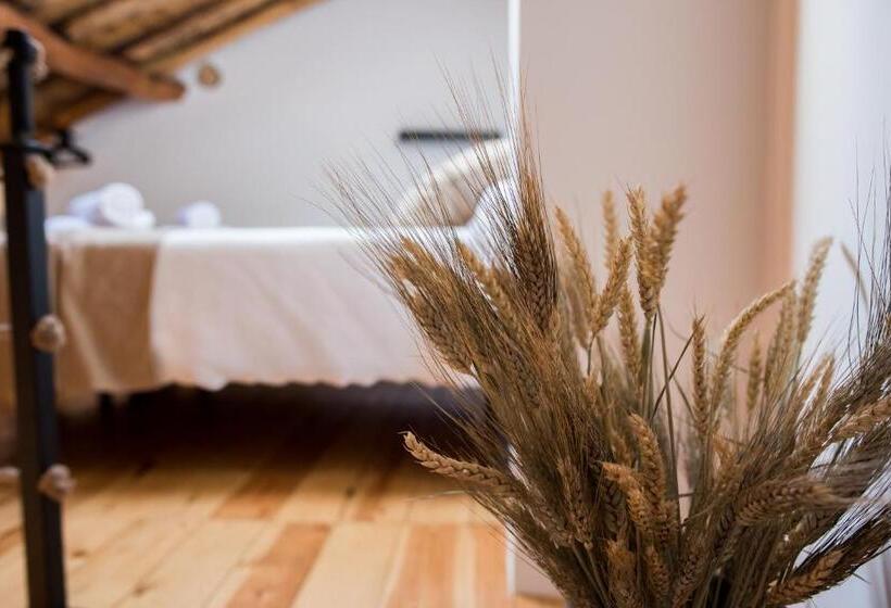 Номер Стандарт, La Maroma Rooms & Views