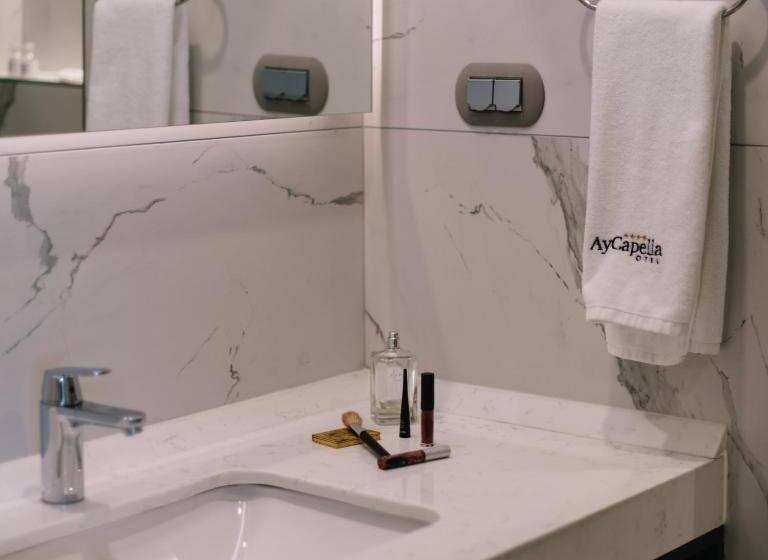 비즈니스룸, Capella Otel