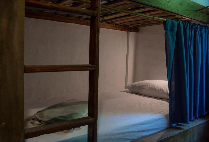 سرير فى غرفة مشتركه, Cinnamon House