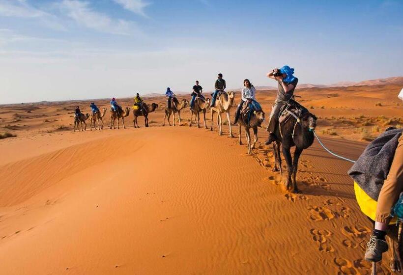 Tienda Estándar, Sahara Wellness Camp