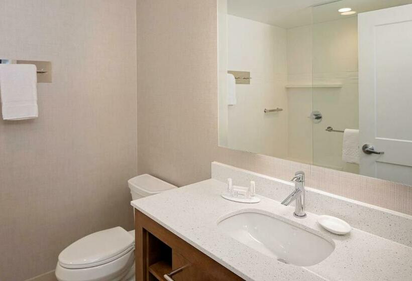 Студио Стандарт Кровать Кинг, Residence Inn By Marriott Charleston Summerville