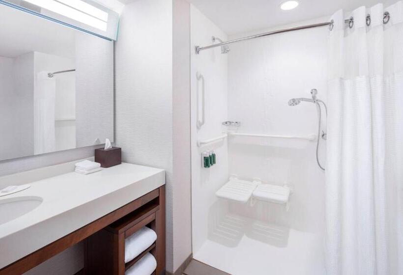 Люкс Кровать Кинг, Courtyard By Marriott Cape Girardeau Downtown