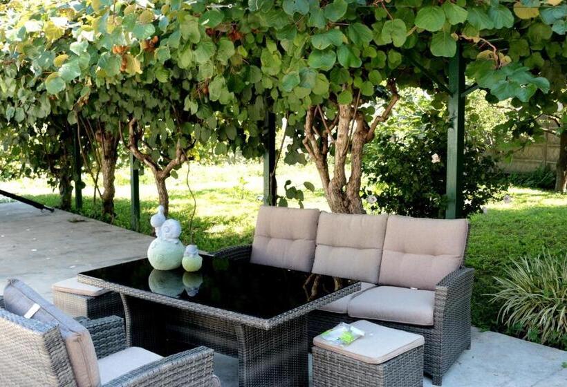 Апартаменты Deluxe 1 Спальня, Paradeisos Residence Sas