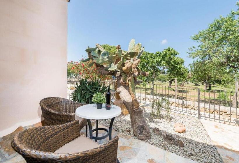 اتاق استاندارد با تراس, Finca   Agroturisme Sa Parellada