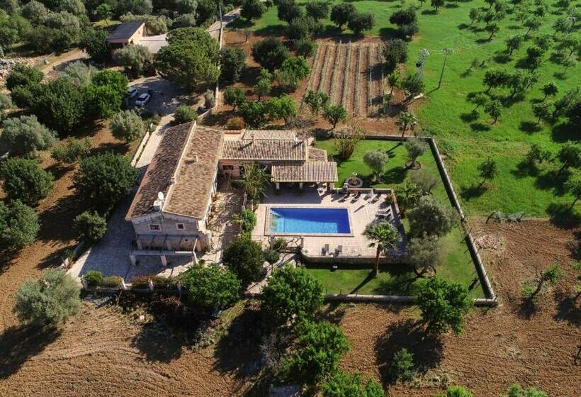 חדר דלוקס, Finca   Agroturisme Sa Parellada