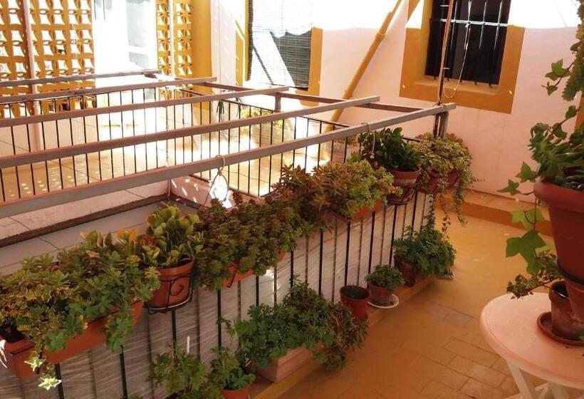 带观景的标准间, Hostal Manolo