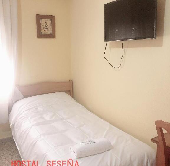 스탠다드 싱글 룸, Hostal Seseña
