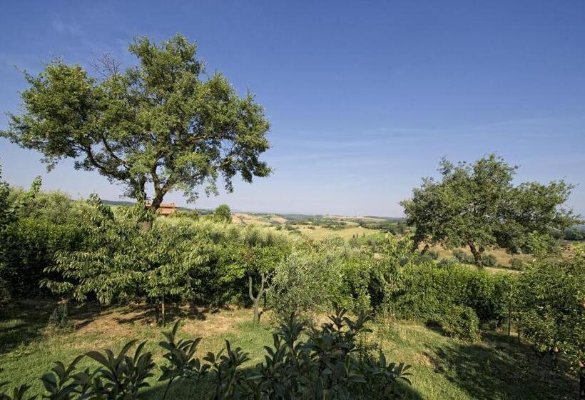 Апартаменты 1 Спальня, Agriturismo I Roseti