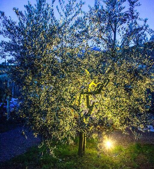 Апартаменты 1 Спальня, Agriturismo I Roseti