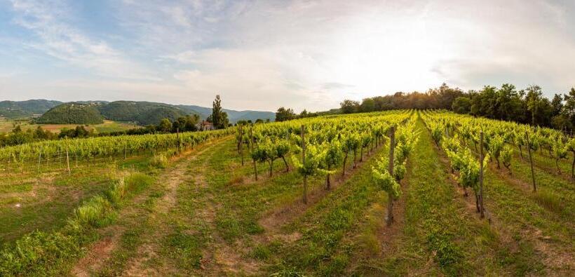 اتاق استاندارد چهار تخته, Fattoria Le Vegre