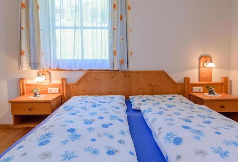 带1个卧室带观景的公寓, Oberbaumgartnerhof