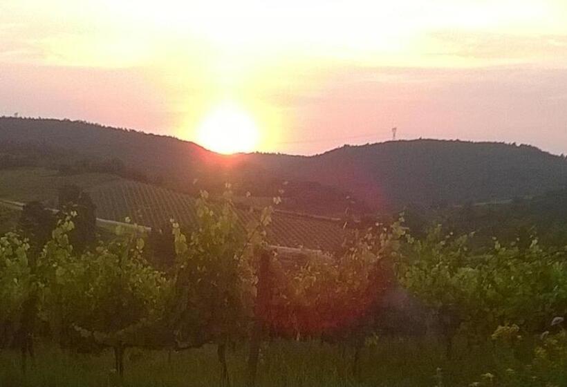 Дом 1 Спальня, Podere Montese Country House