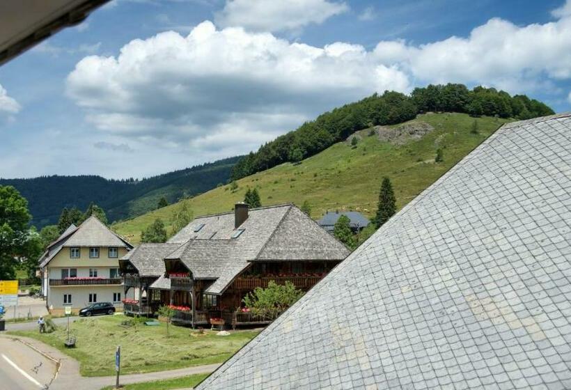 Номер Стандарт, Gasthaus Löwen