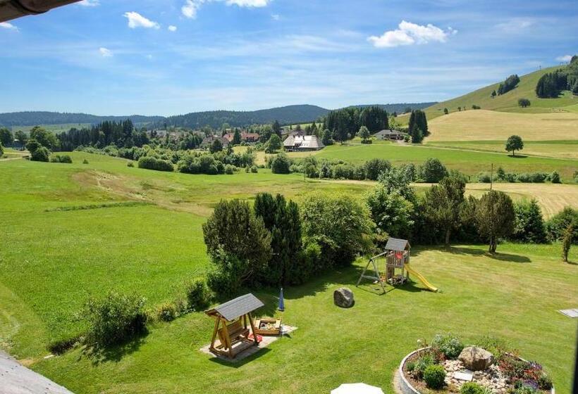 Номер Deluxe с Балконом, Gasthaus Löwen