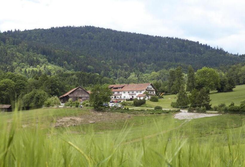 Номер Стандарт Вид на Горы, Wild Berghof Buchet