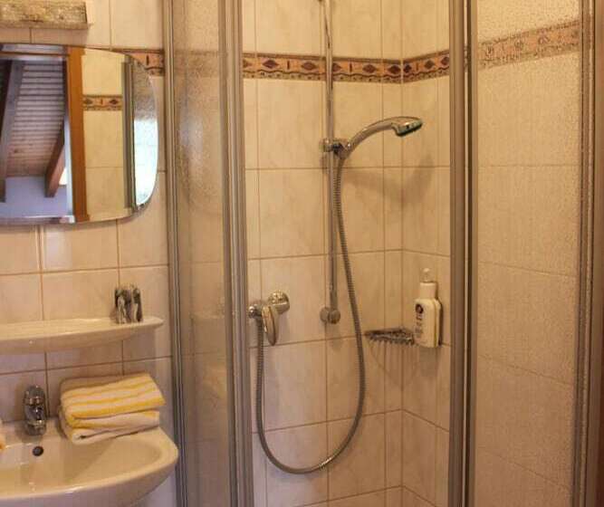 Номер Стандарт, Landgasthof Hotel Sauer