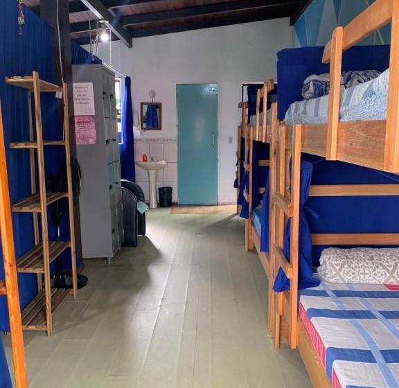 Кровать в Общей Комнате, Oceanic Hostel