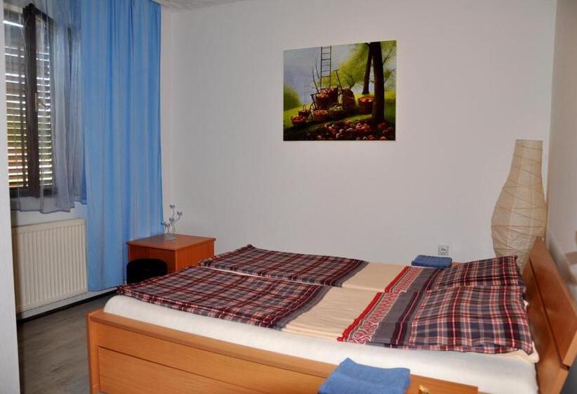 آپارتمان 3 خوابه, Guesthouse Djurić