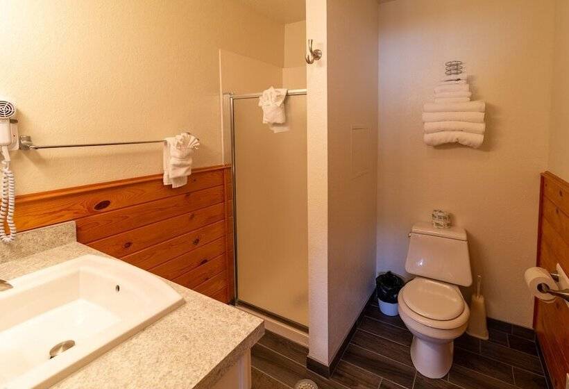 Апартаменты 1 Спальня, Sitzmark Sports Lodge