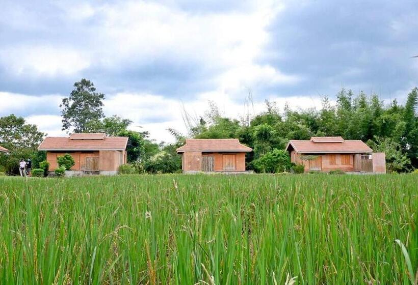 Вилла 1 Спальня, Coolliving Farmhouse Organic