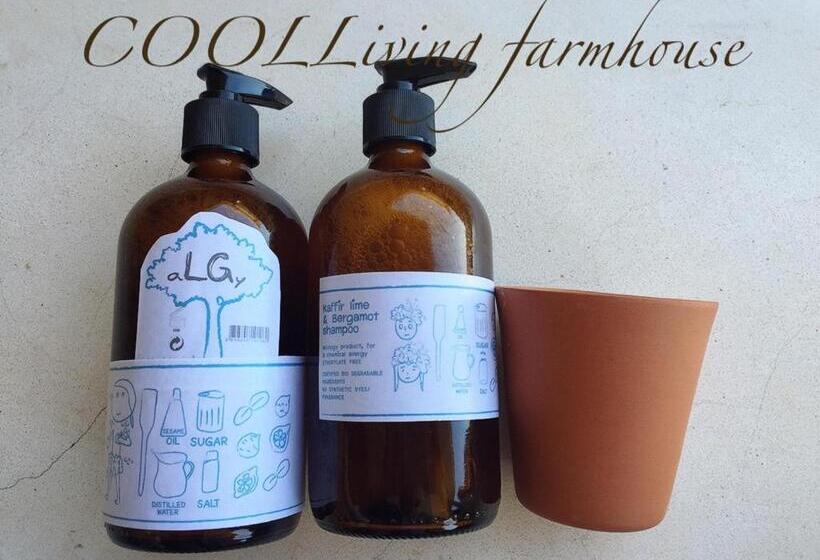 Стандартный Номер Кровать Кинг, Coolliving Farmhouse Organic
