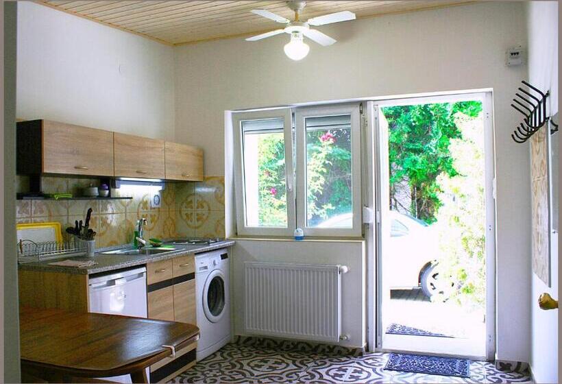 اتاق استاندارد با تخت بزرگ, White & Quiet Apartment House