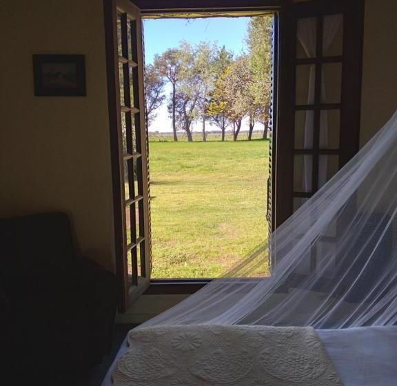 スタンダードルーム, La Perdida Casa De Campo