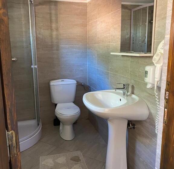 Номер Стандарт Вид на Горы, Guest House Piatra Craiului