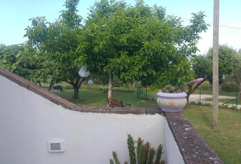 庭の見えるシングルルーム, Relais Il Giardino Fra Gli Ulivi